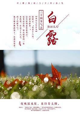 小清新白露海報