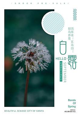 精美白露海報