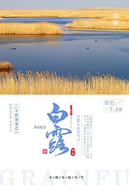 精美白露海報