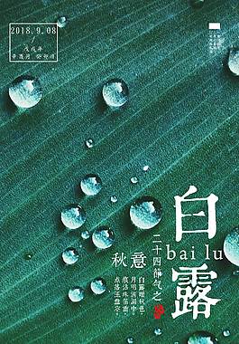 精美白露節(jié)氣海報