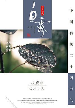 精美白露節(jié)氣海報