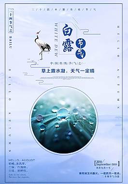 精美白露節(jié)氣海報