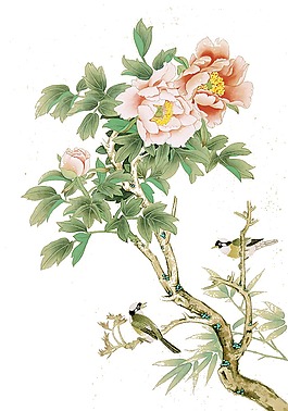 精美牡丹素材
