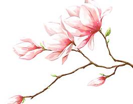 小清新桃花素材