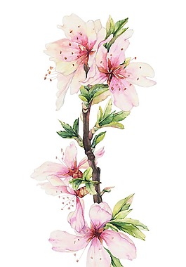 小清新桃花設(shè)計元素