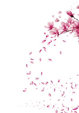 半圓形漂浮櫻花