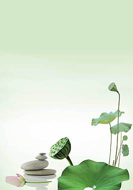 荷葉H5背景