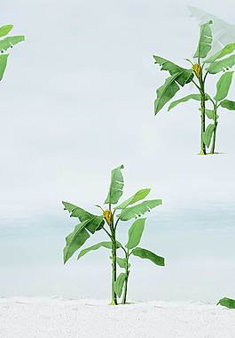 小清新植物廣告背景