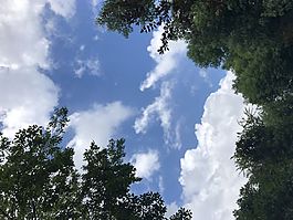 藍(lán)天白云蕩悠悠