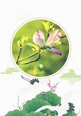 精美花卉廣告背景
