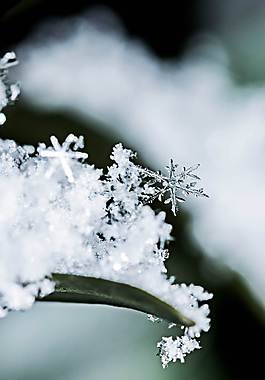 雪花廣告背景