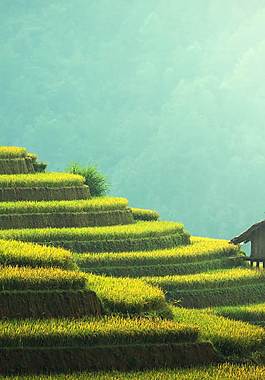 創(chuàng)意梯田廣告背景