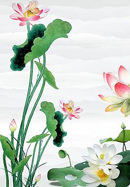 唯美荷花廣告背景