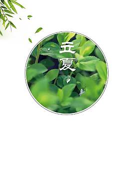 精美植物廣告背景