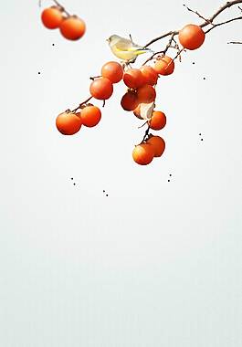 簡(jiǎn)約廣告背景
