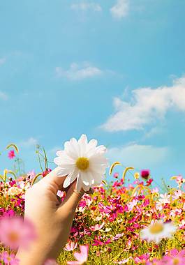 時(shí)尚花卉廣告背景