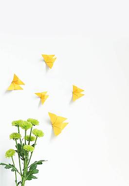 精美花卉廣告背景