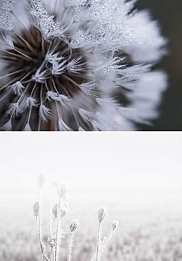 簡(jiǎn)約廣告背景