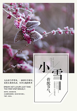 小雪