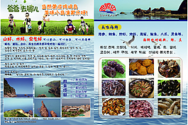 雞鳴島漁家樂