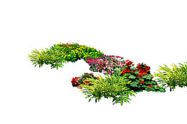 園林植物草坪