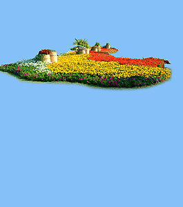 園林植物草坪