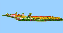 園林植物草坪