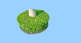 園林植物草坪
