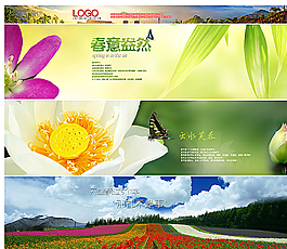 春夏花卉背景圖圖片