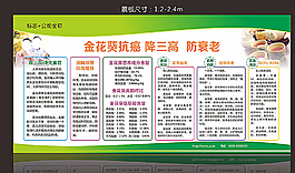 金花葵展板圖片