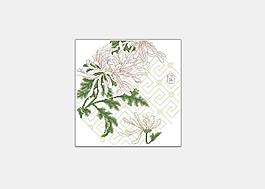 明菊花