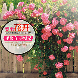 春暖花開(kāi)背景