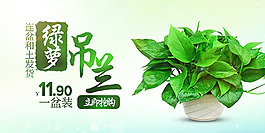 綠植手機(jī)端