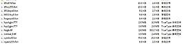 22字體