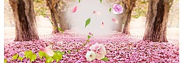 淘宝花朵背景大图9