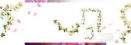 淘宝花朵背景大图11