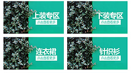 小分類