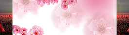 淘宝花朵背景大图22