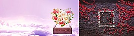 淘宝花朵背景大图24
