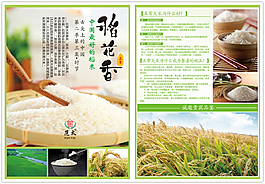 稻花香大米海報(bào)