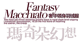 奢華領(lǐng)身羽絨服排版字體素材