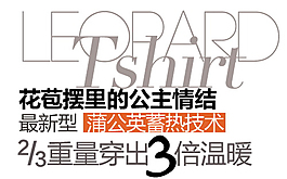 最新型蒲公英蓄熱技術(shù)排版字體素材