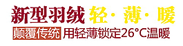 新型羽絨排版字體素材