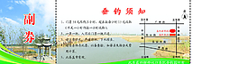 门票反图片