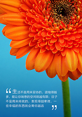 人生正能量