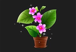 粉色的花