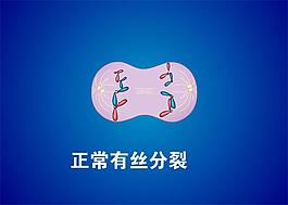 分裂