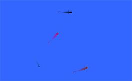魚