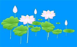 池塘荷花