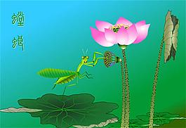 荷花